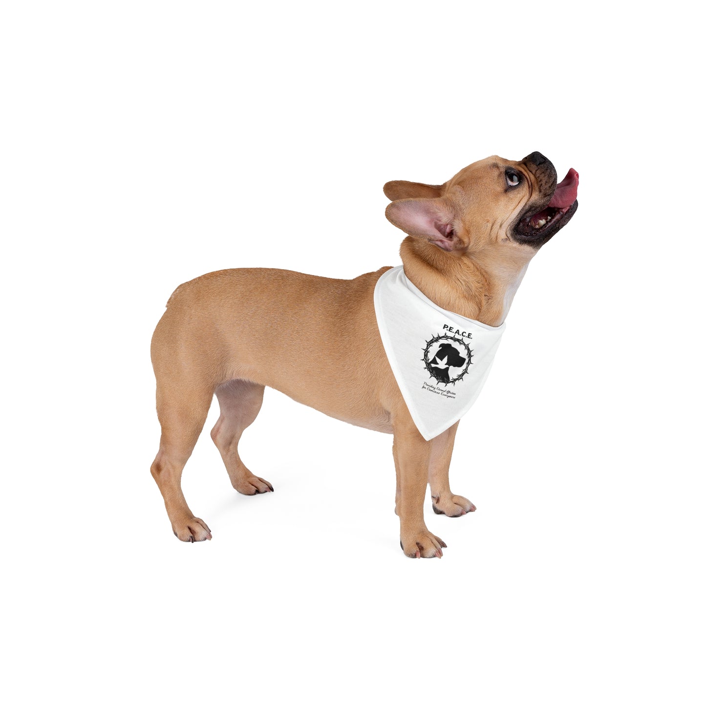 Peace Dove Pet Bandana — P.E.A.C.E. Rescue Awareness Dog & Cat Scarf